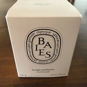 Diptyque Candle Baies Large Size
